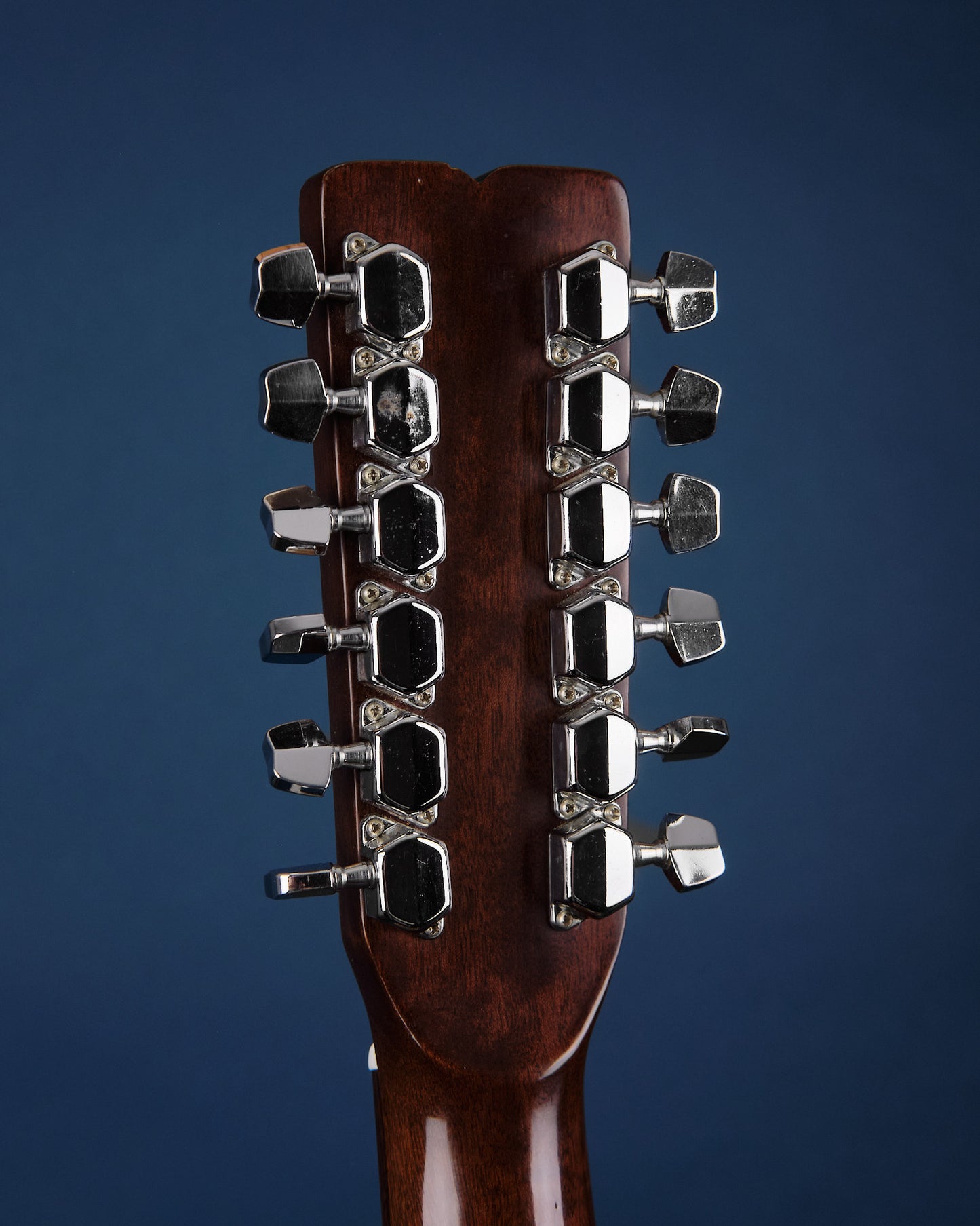 1970s Fender F-55-12 Natural