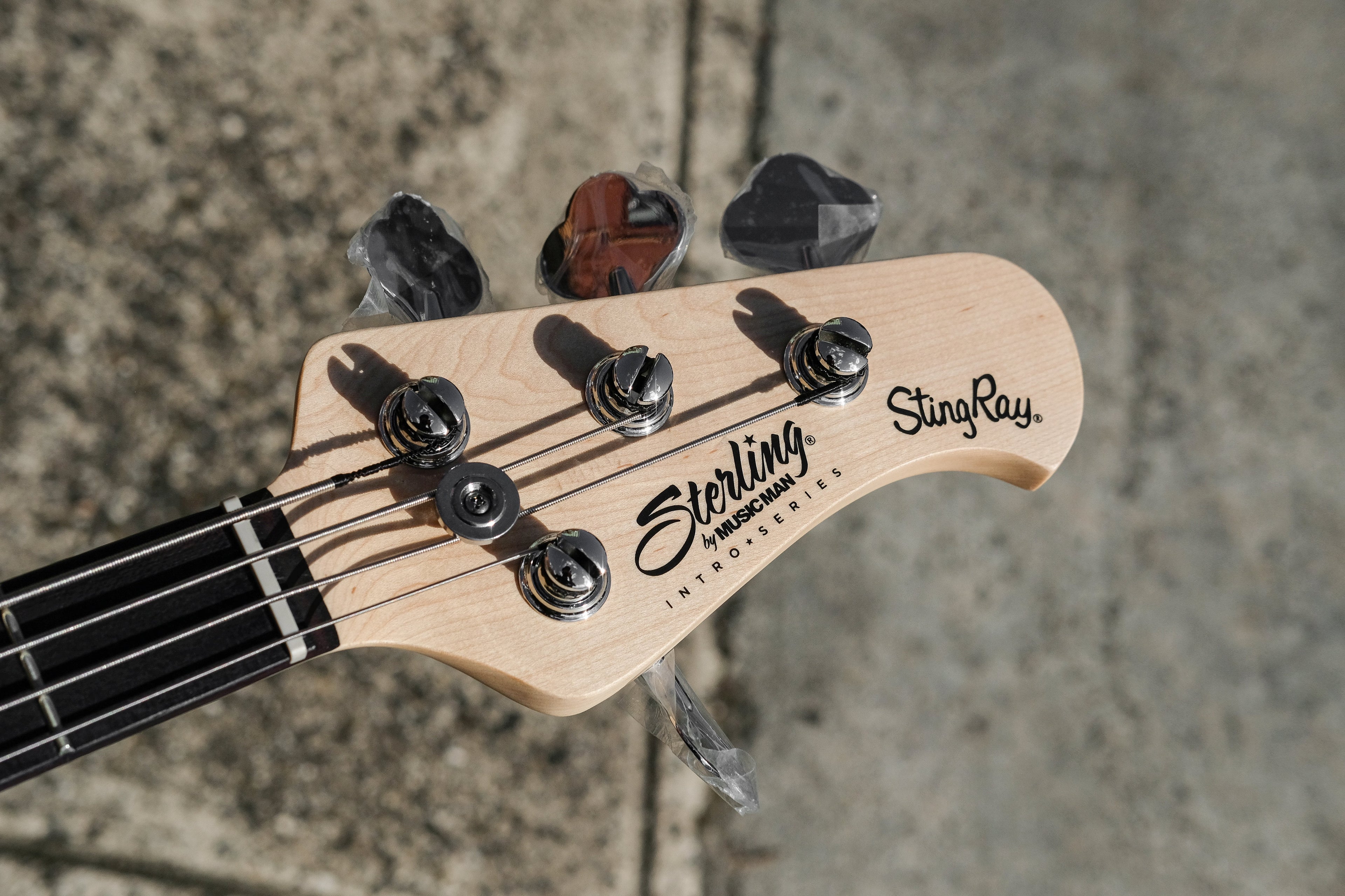 Sterling by Music Man