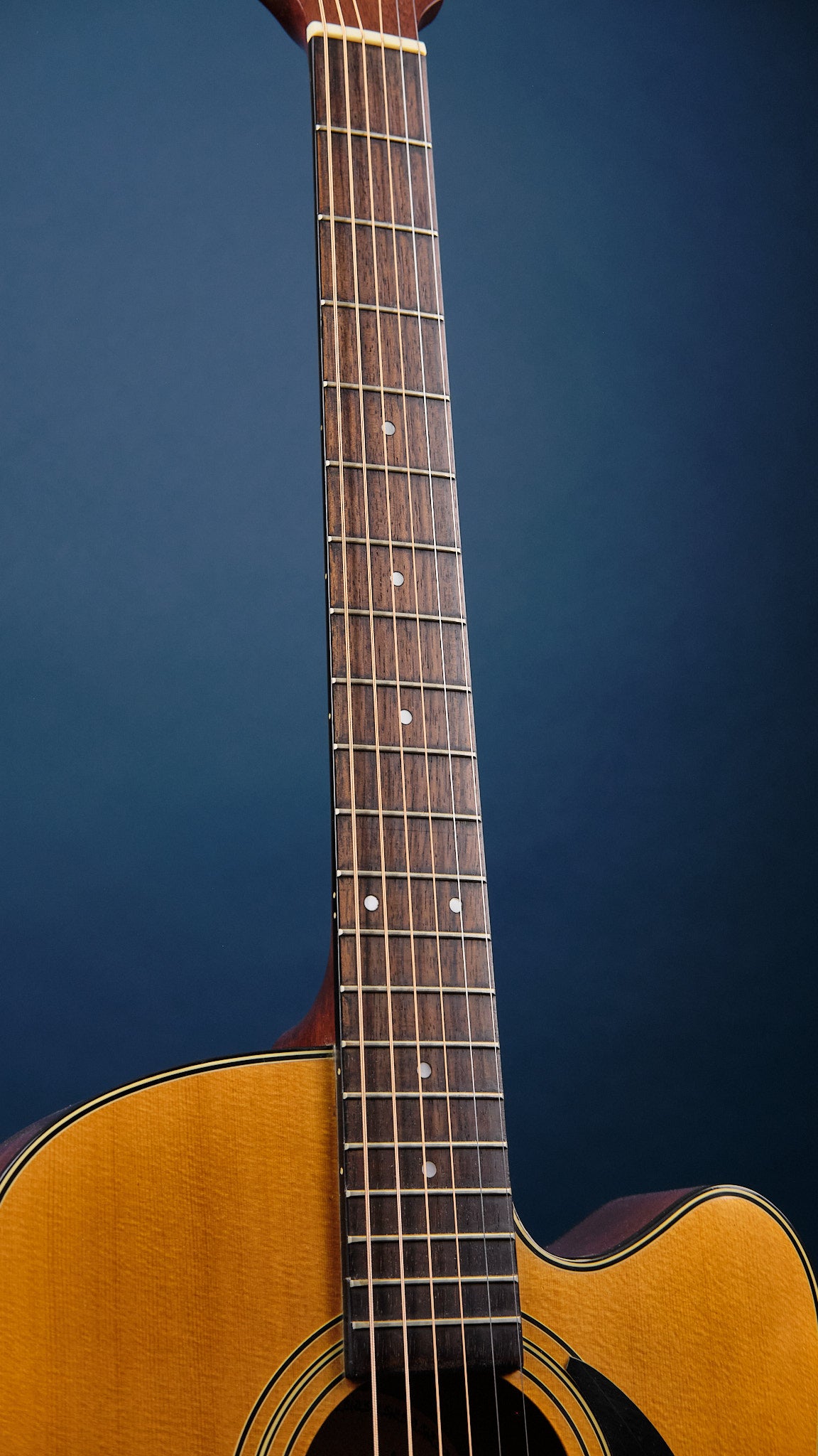 Samick SWT210CE Thinline Dreadnought Natural (Second-Hand)
