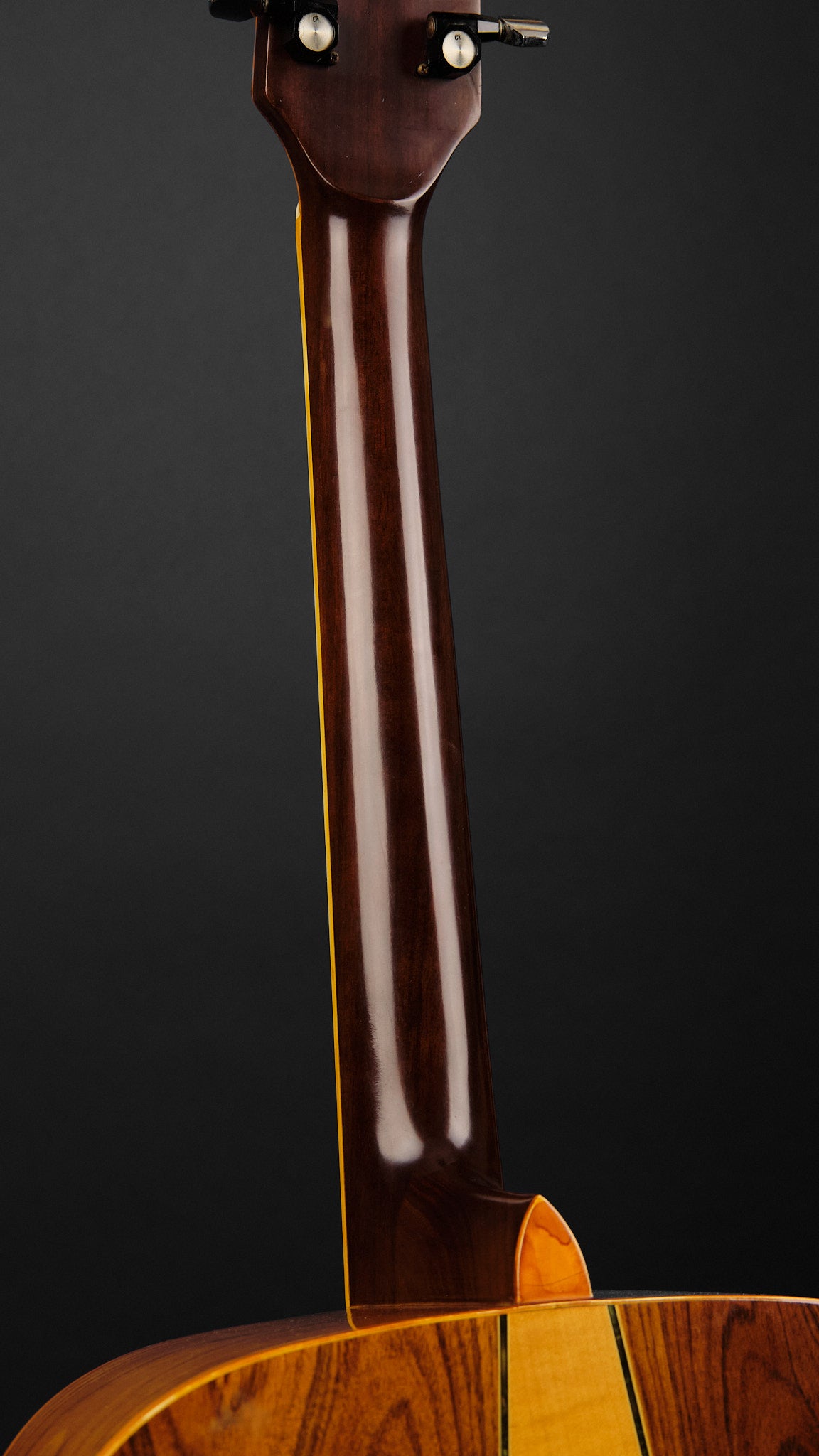 1977 Takeharu WT300 Dreadnought Natural