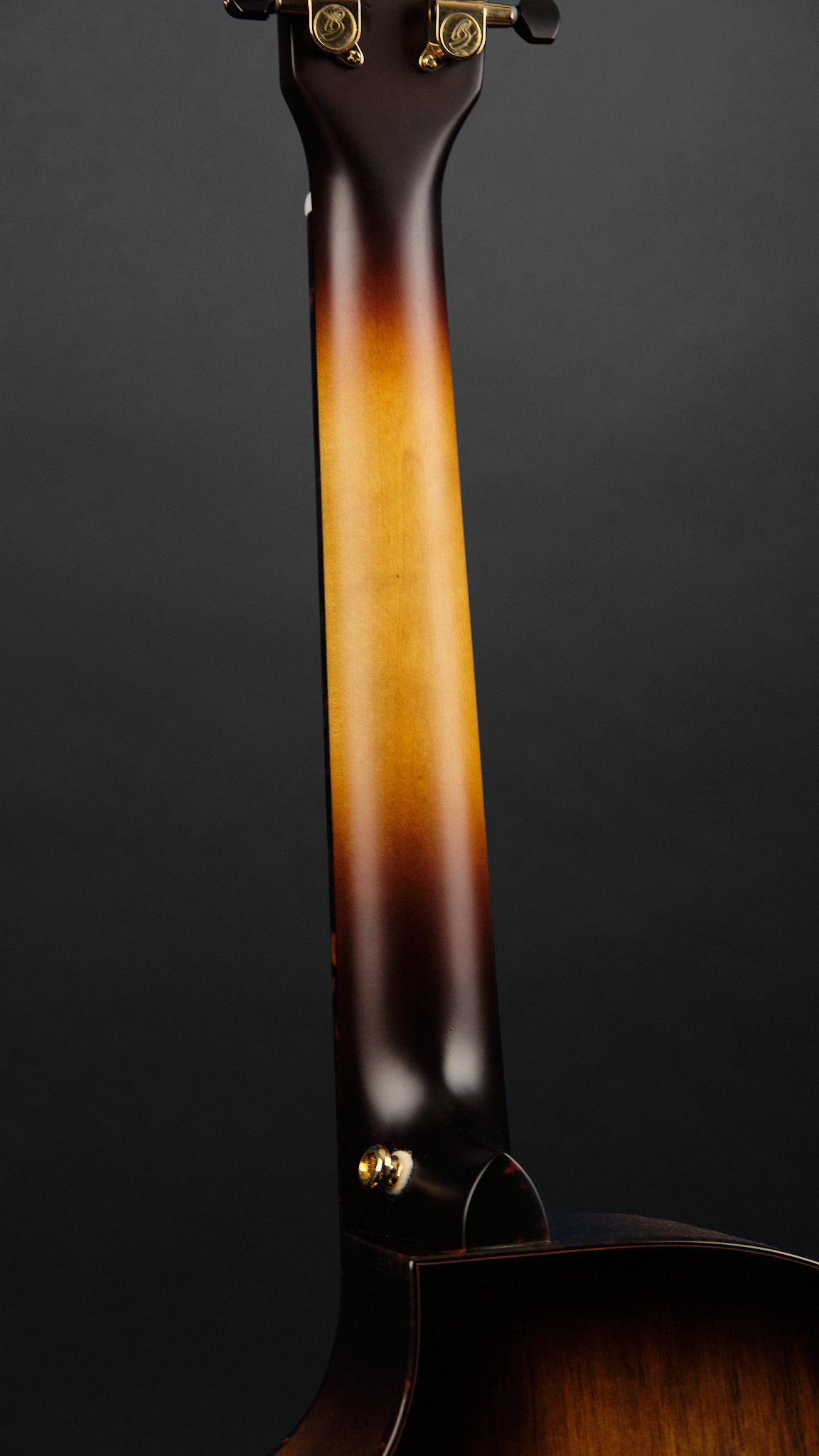 Breedlove Artista Pro Concertina Burnt Amber (Second-Hand)