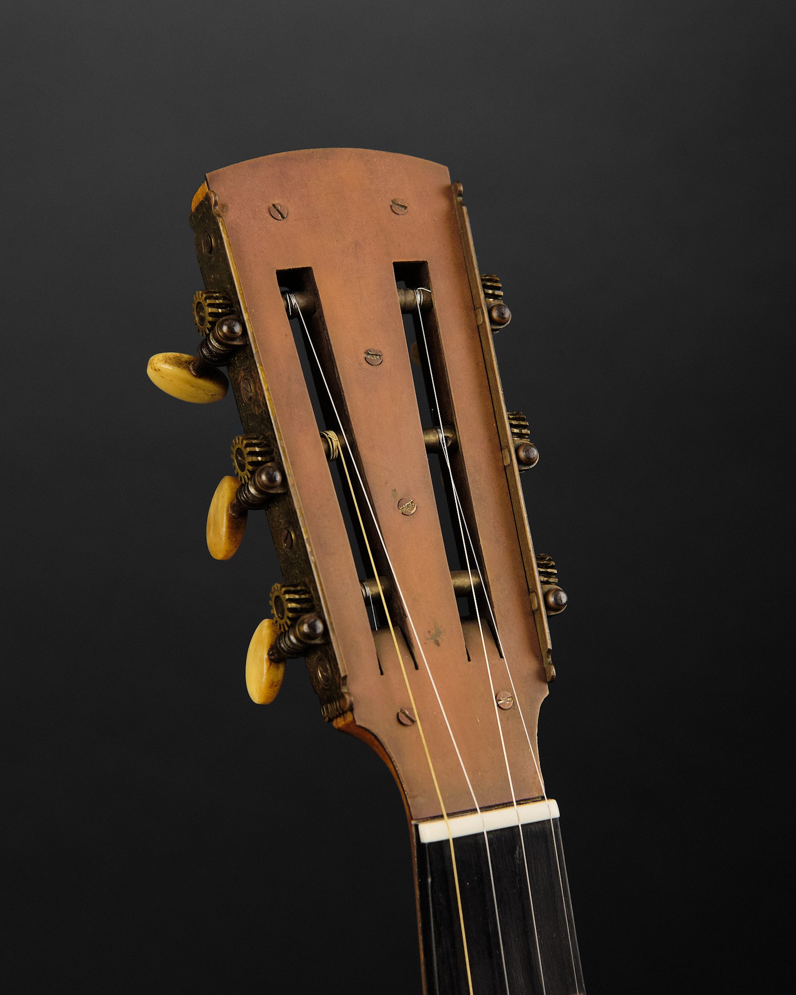 1800s J.E. Dallas Zither 5-String Banjo