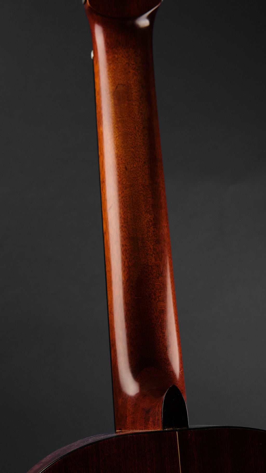 Admira Cortez Classical Cedar (Second-Hand)