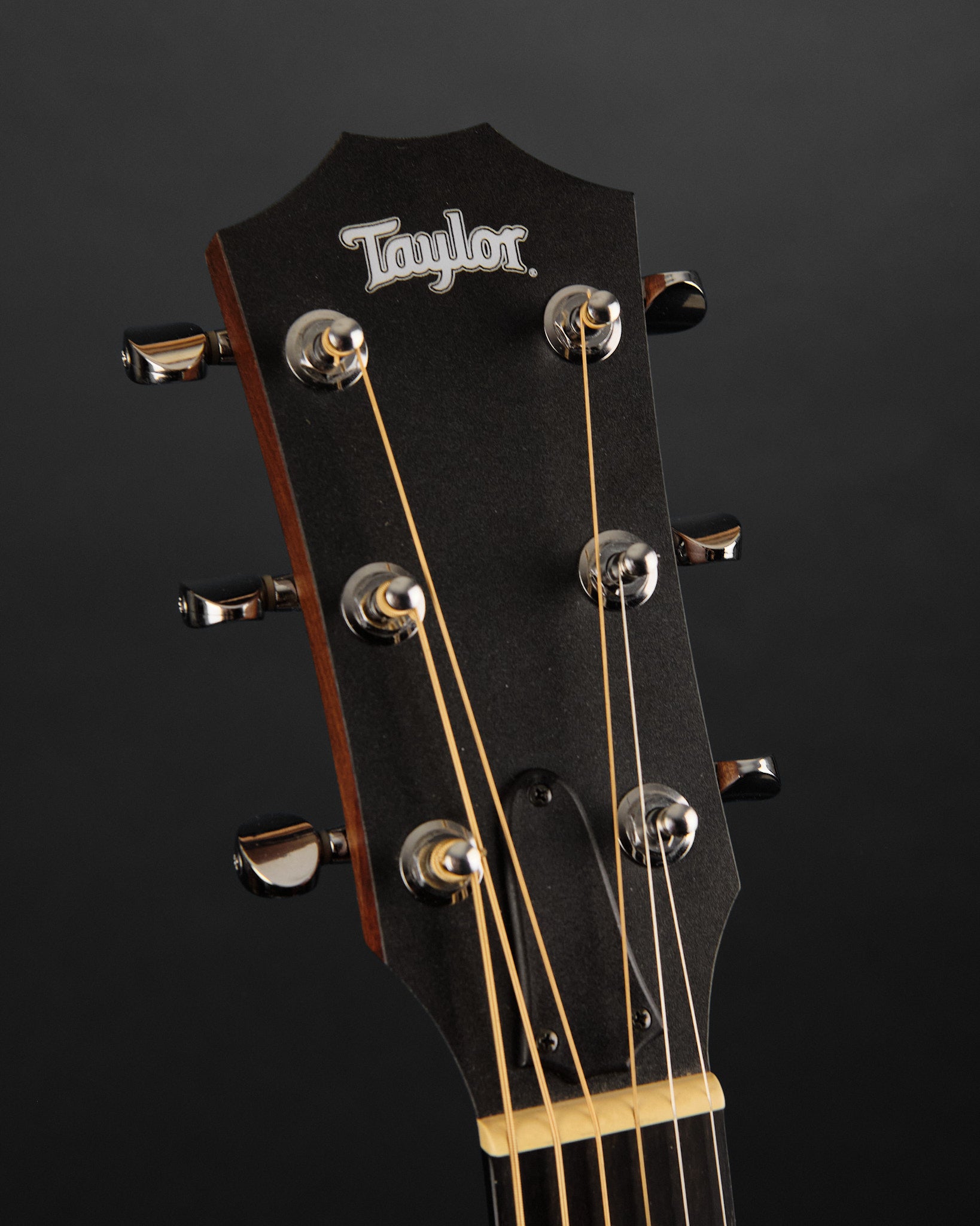 2009 Taylor BBT Big Baby Taylor Dreadnought Spruce