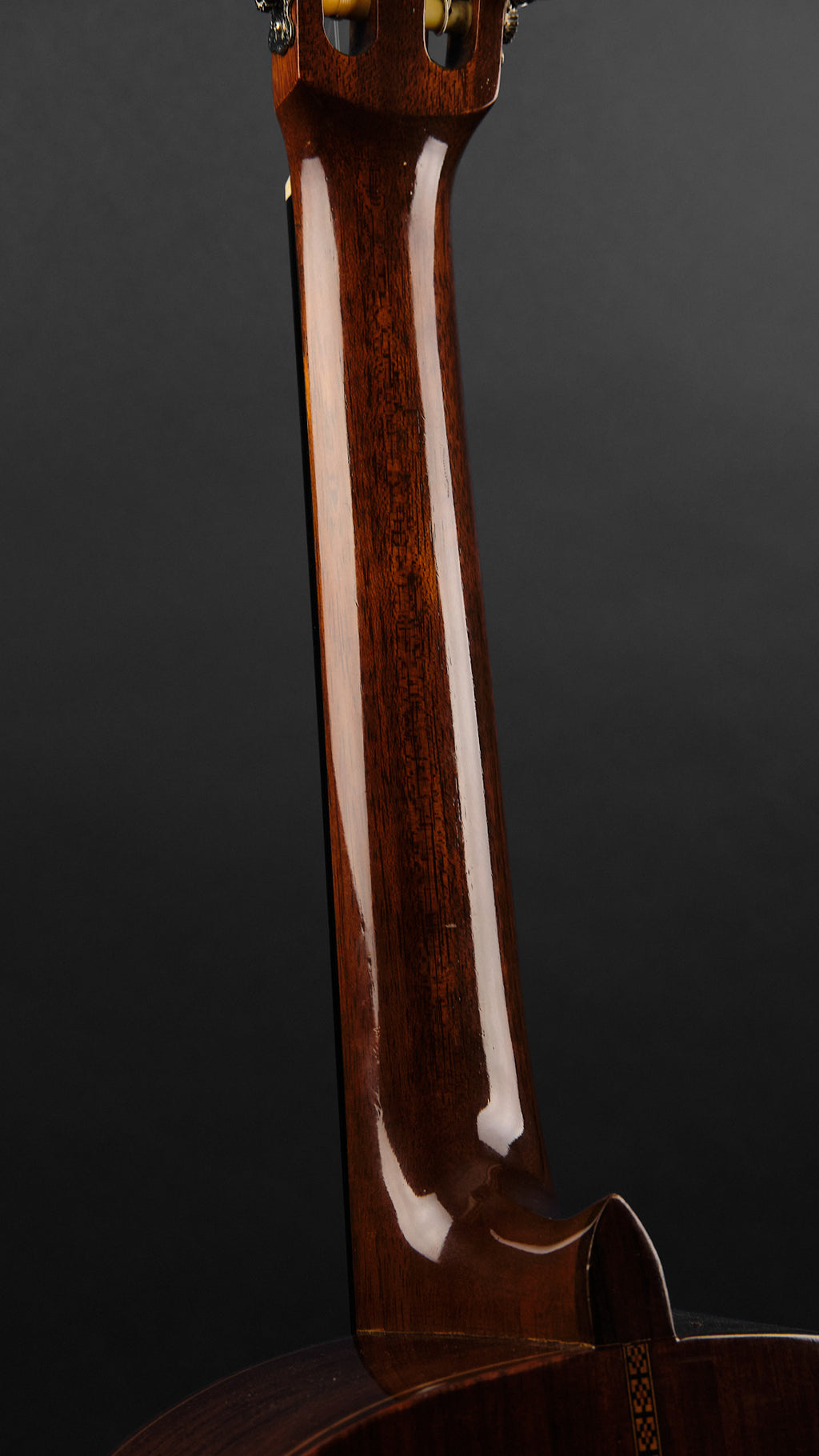 1970s Diastone by Takamine TG-003 Cedar