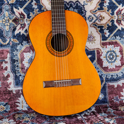 Walden N-310 Classical Guitar (Second-Hand)