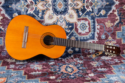 Walden N-310 Classical Guitar (Second-Hand)