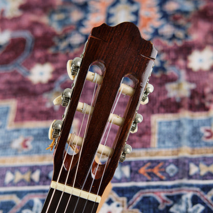 Walden N-310 Classical Guitar (Second-Hand)